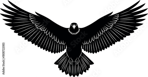 Flying bald eagle silhouette, front view spread wings, American symbol vector illustration, black raptor isolated on white background, wildlife art.