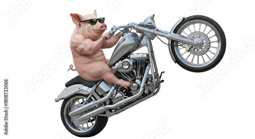 Hilarious pig biker dude rides motorbike on one wheel, a funny cartoon character, perfect for jokes, memes, or humorous illustrations, fun design