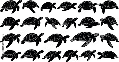 Sea turtle silhouettes set, swimming tortoise vector collection, marine life animal icons, ocean reptile black shapes, isolated nature illustration.