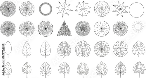 Collection of abstract tree top view drawings on white background