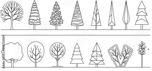 Architectural tree drawings black and white sketches of various tree types