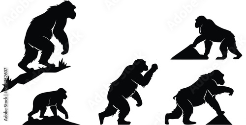 Powerful gorilla silhouettes in dynamic poses, showcasing strength and wildlife, perfect for logos, branding, and conservation themes. Scalable vector origin.