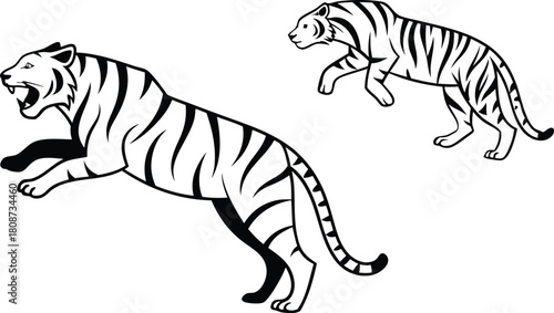 Majestic tigers leaping, showcasing power and grace in stunning vector art, perfect for wildlife themes and impactful designs. Originally a scalable graphic.