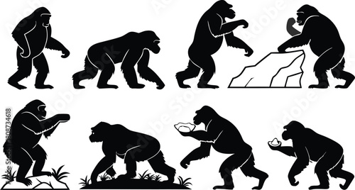 Evolution of intelligence shown in gorilla silhouettes, demonstrating tool use and problem-solving skills, perfect for educational resources and scientific studies
