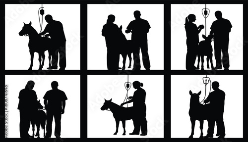 Silhouette veterinarian examining horse, animal medical checkup, farm animal healthcare vector illustration for veterinary clinic, equine treatment, and professional animal care design