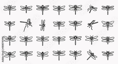 Collection of Dragonflies Various Poses and Styles Outline Icons Vector Graphic Elements Insect Fauna Illustration