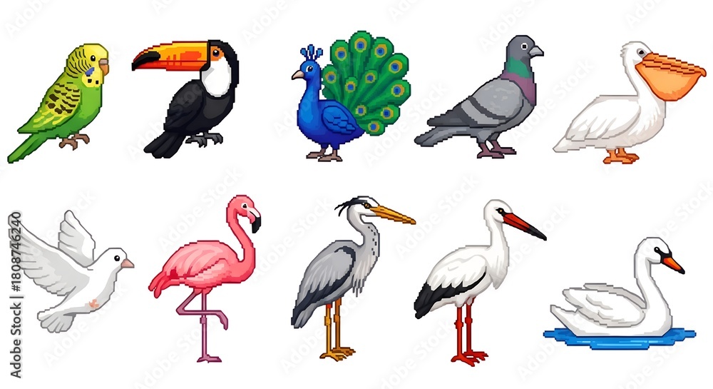 Obraz premium Collection of diverse cartoon birds in various poses