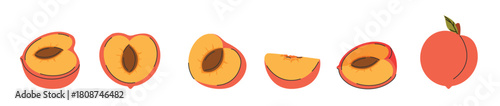 Peach fruit set, whole, half, slice, quarter, segment. Collection of peach fruit in hand drawn doodle style