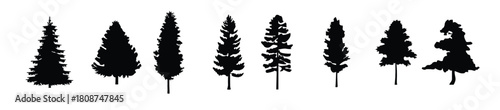 pine trees silhouette set pine trees vector silhouette