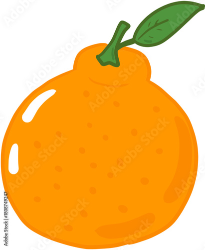 vector illustration of an orange fruit