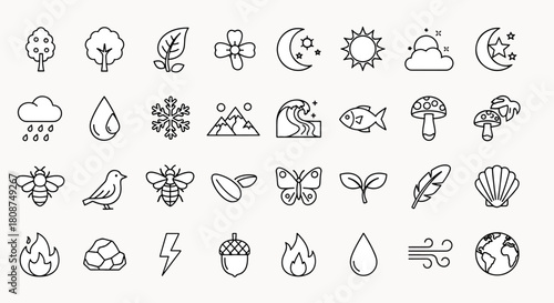 Nature elements icons set, representing flora fauna weather and earth, for natural science and ecology concepts