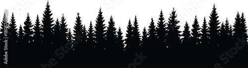 Panoramic black silhouette of pine trees, evergreen forest skyline isolated on white background, vector illustration for wilderness nature landscape design.