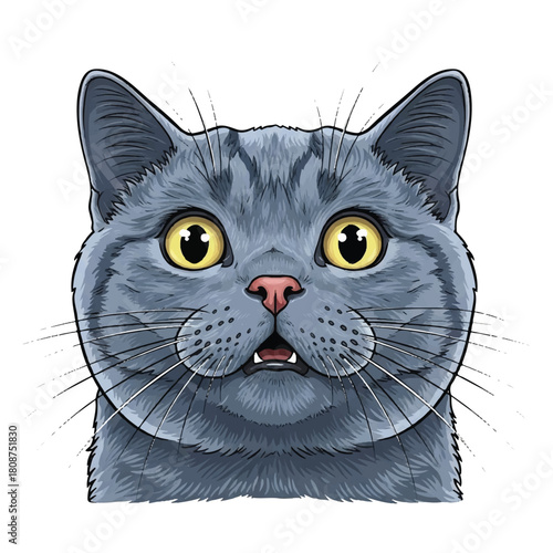 Close-up illustration of a surprised British Shorthair cat with wide, yellow eyes and an open mouth, looking directly at the viewer