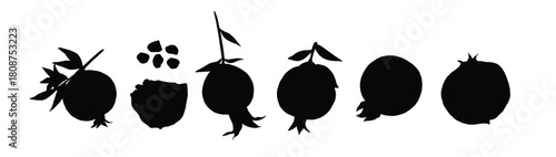 pomegranate in fruit watercolor collection flat vector