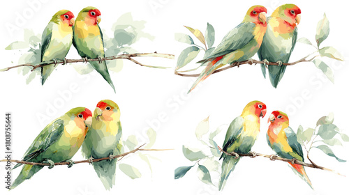 Soft watercolor illustrations of lovebirds perched on leafy branches. Romantic and delicate bird artwork perfect for wedding themes greeting cards nature prints and decorative designs.