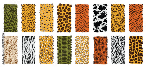 safari animals skin seamless pattern set mammals fur