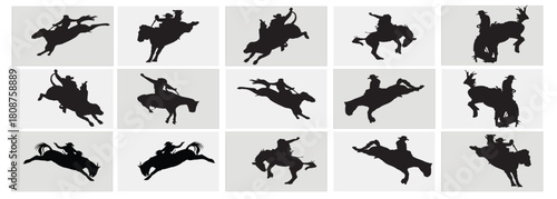  rodeo pose vector bundle 