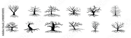 set of bare tree silhouettes