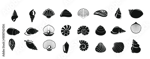 Sea shell icons set simple style
