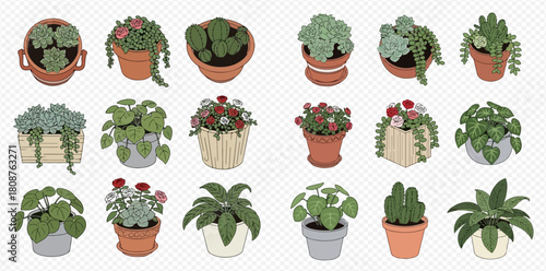 A diverse collection of various potted plants, including succulents, flowering plants, and leafy greens, displayed in different styles of pots.
