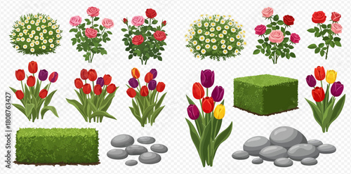 A collection of garden elements including various flower bushes, tulip bunches, green hedges, and grey stones on a transparent background.
