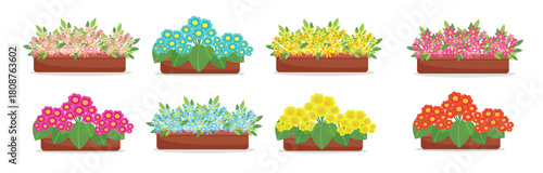 Set Blooming flowers in pots in flat style, big collection of spring flowers in boxes, isolated vector design elements.