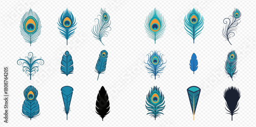 A collection of various blue and teal peacock feathers and decorative bird plumes.