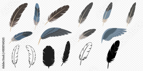 The image shows a collection of realistic, outlined, and silhouette feathers, including individual plumes and wing sections, in various natural colors.