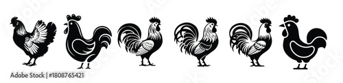 Set of Black and White Silhouettes of Roosters and Hens