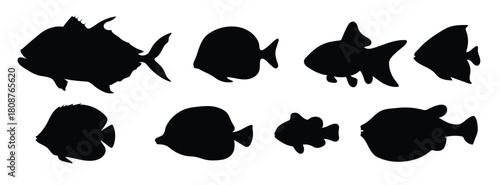 set of black silhouettes of fish