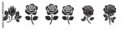 Set of Black and White Rose Silhouettes