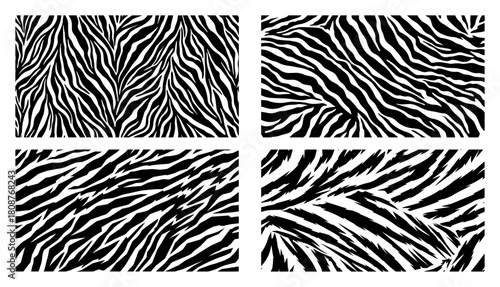 Abstract animal skin texture set Black and white zebra and tiger stripes pattern vector background