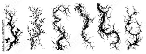 Gnarled Tree Root And Branch Silhouettes Set Organic Vector Vines