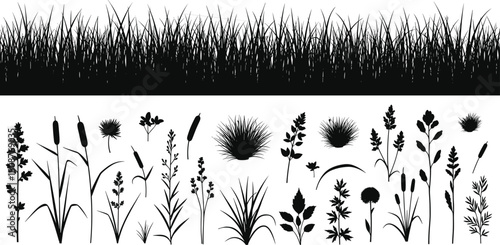 Collection of detailed grass and wild plant silhouette illustrations featuring natural weeds, foliage, and meadow elements in elegant vector design for landscaping, nature, and outdoor graphics