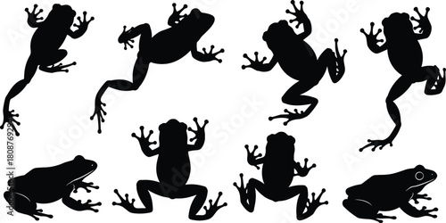 Frog silhouette collection featuring dynamic jumping poses and natural amphibian shapes, versatile vector illustration set for wildlife designs, nature themes, graphic projects