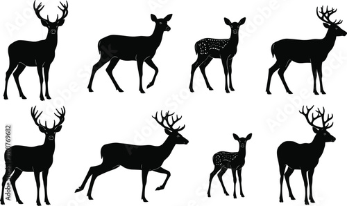 Silhouette collection of deer, doe, stag and fawn in various standing and walking poses, elegant wildlife vector illustration set for nature and forest design, isolated