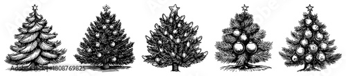 Hand drawn vintage Christmas tree collection with various pine and spruce fir sketches vector illustration