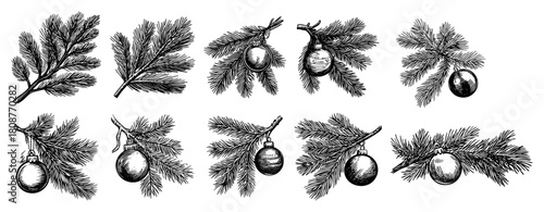 Christmas Pine Branches With Baubles Vintage Engraved Vector Set