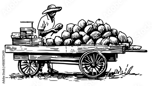 Street vendor selling coconuts from cart hand drawn market scene vector illustration