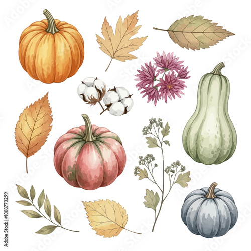 Illustration of autumn vegetables and leaves including pumpkins, gourds, and cotton bolls on a