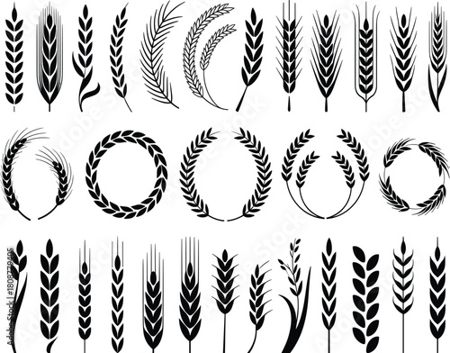 Wheat and grain stalk silhouettes, laurel wreath vector, harvest symbols, black icons, agricultural design, prosperity emblem set