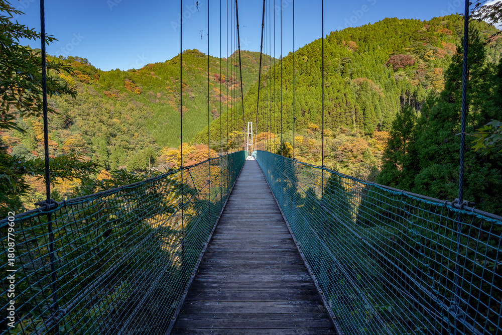 Obraz premium 杣の大吊橋の紅葉の風景（八女市）