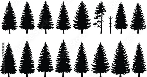 Set of black silhouettes of pine, fir, and spruce trees, forest nature vector collection, isolated on white background.