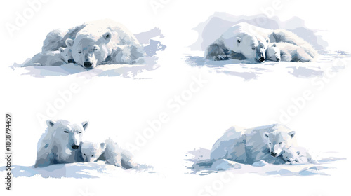A gentle watercolor style illustration of a polar bear mother resting with her cub on snowy landscapes. Calm arctic wildlife artwork ideal for nature themes, educational designs, and environmental pro