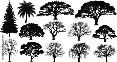 Tree silhouette vector set, diverse forest collection, nature illustration, pine oak palm icons, landscape design elements, botanical black shapes