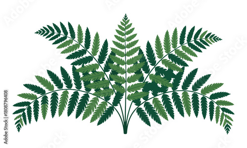 Symmetrical green fern fronds vector illustration