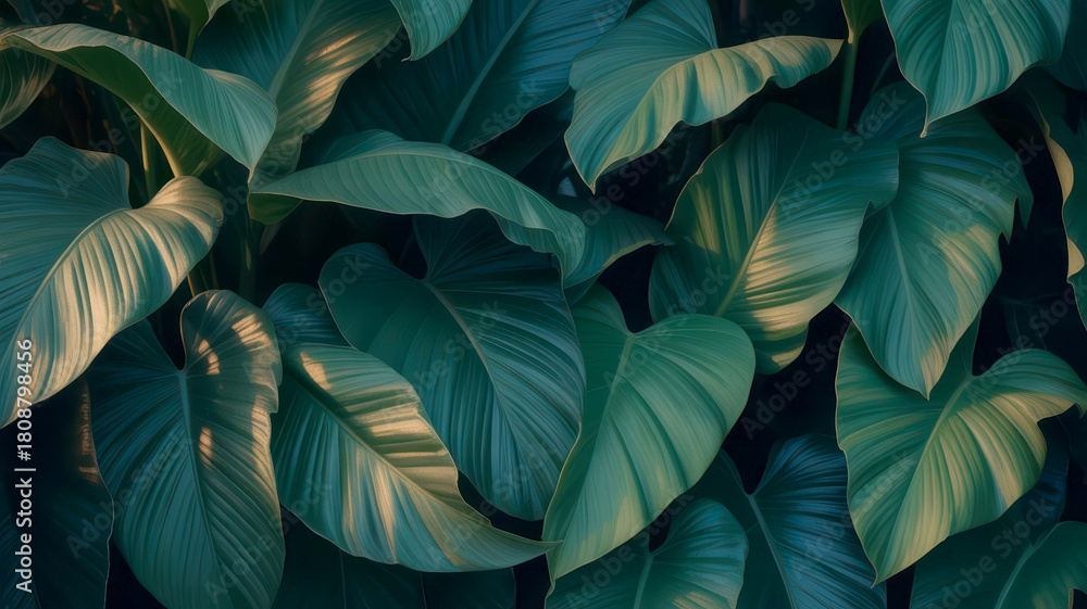 Fototapeta premium Tropical Foliage: Golden Light, Natural Elegance Background