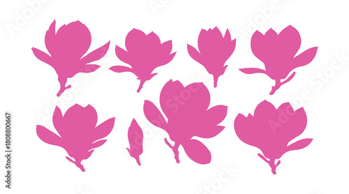 Artistic magnolia flowers presented in bright, isolated shapes.