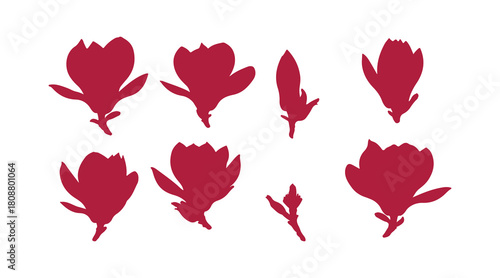 Colored silhouettes of magnolia blossoms on a white background.