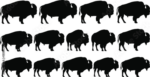 Animation sequence of American bison walking silhouettes, frame by frame wild buffalo vector illustration set, isolated on white background for motion design